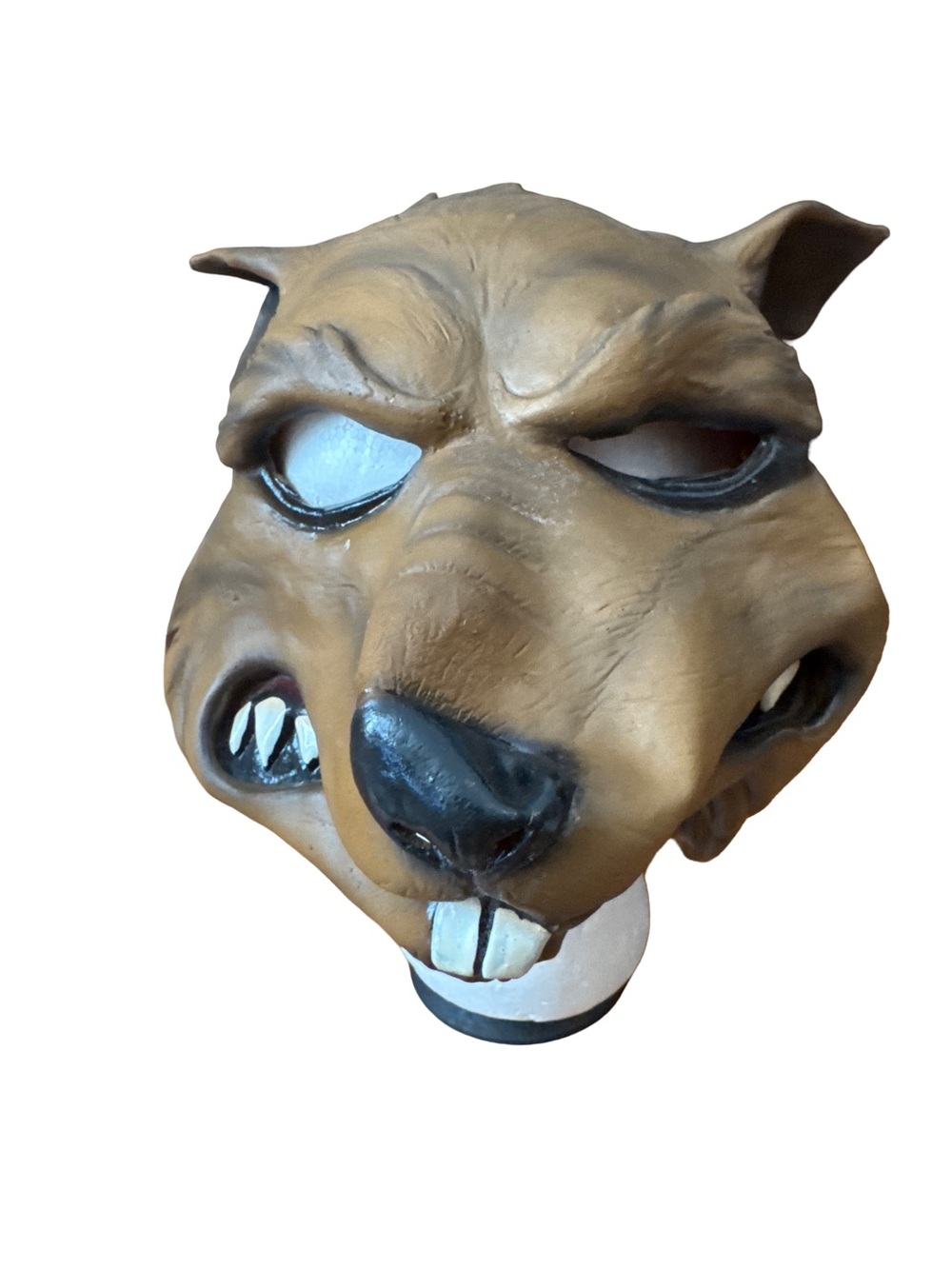 Master Splinter TMNT Mask Leather Adult Cosplay Halloween 2013 Viacom Rare
